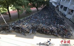Trường đại học biến thành “Nghĩa địa xe đạp” 