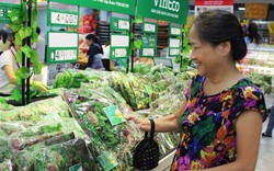 Hệ thống VinMart chính thức phân phối rau sạch VinEco