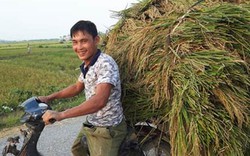 Chùm ảnh: Nông dân hớt hải gặt lúa chạy đua bão Cầu Vồng
