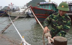 Quảng Ninh: Hơn 8.000 tàu thuyền về bờ tránh bão số 4