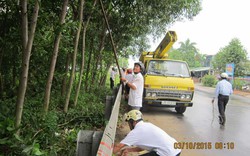 Nhiều hoạt động kỷ niệm Ngày thành lập Hội NDVN