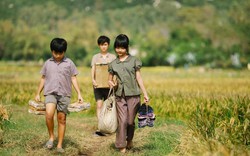Sao Việt hết lời khen "Tôi thấy hoa vàng trên cỏ xanh"