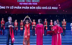 PVCFC lần thứ 2 vinh dự nhận giải Top 100 Sao vàng Đất Việt năm 2015