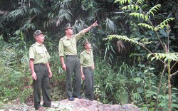 Kiểm lâm sát cánh cùng dân bảo vệ rừng