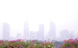 Sài Gòn thành "Đà Lạt thứ 2": Do cháy rừng Indonesia?
