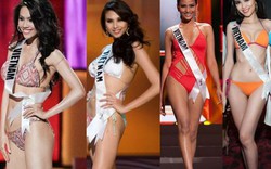 Điểm mặt 7 nhan sắc Việt đi thi Miss Universe