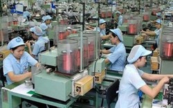 Làm gì để không "gục ngã" trước TPP?