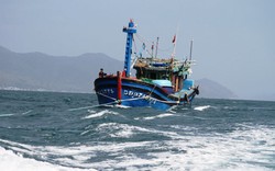 5 tàu cá của ngư dân Cà Mau bị Thái Lan bắt giữ