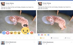 Facebook: Lộ diện tính năng tương tự nút "dislike"