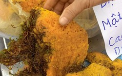 800.000 đồng/kg mật ong hóa đá bán tại Hà Nội