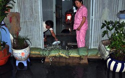 Người Sài Gòn thức đêm đắp đê ngăn nước vào nhà