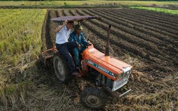 Thủ lĩnh trên những luống cày