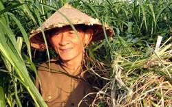 Anh hùng Hồ Giáo - "người chăn bò vĩ đại" về với cỏ xanh