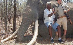 Chi 1,3 tỉ để bắn chết chú voi lớn nhất châu Phi