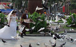 Video: Vui đùa cùng chim bồ câu giữa lòng Sài Gòn