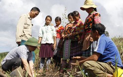 Dự án 600 trí thức trẻ về xã nghèo: Hàng trăm phó chủ tịch xã bơ vơ ?