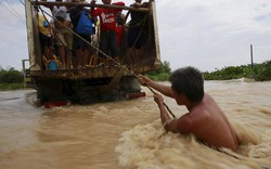 Gần 50 người tử vong do bão Koppu