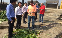 Đột phá hợp tác nông nghiệp Việt - Nga