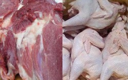 Hà Nội: Phát hiện chất cấm trong thịt lợn, thịt gà