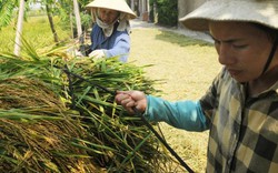 Bộ trưởng Cao Đức Phát: “Tôi còn 2 món nợ với nông dân”