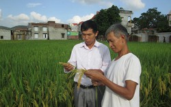 Nông dân tin tưởng “kênh trả chậm” qua Hội