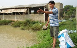 Biến đồng chiêm trũng thành trang trại lãi trăm triệu đồng/năm