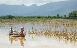 Lũ các sông miền Trung đang lên nhanh