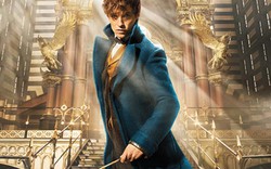 Fan Harry Potter "đứng ngồi không yên" vì phần phim mới