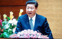 Chủ tịch Trung Quốc: "Coi trọng đại sự, tiểu sự dễ giải quyết"