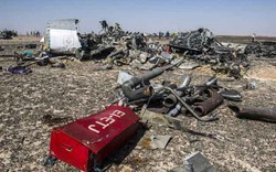 Giới điều tra Anh: Bom giấu trong khoang chứa hàng máy bay Nga