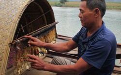 Độc đáo nghề câu vương bắt cá trên sông Lam