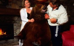Cặp vợ chồng nhận chú gấu 70 kg làm con nuôi