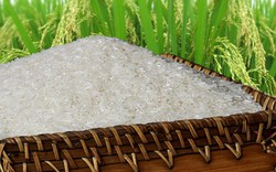 Vì sao nhiều thị trường "ngán" gạo Việt Nam?