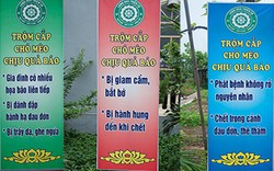 Giật mình biển “trộm chó mèo bị quả báo” treo ở chùa