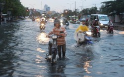 Mọi người phải đóng quỹ phòng - chống thiên tai