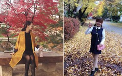 Giới trẻ Việt “phát cuồng” với mùa thu Hàn Quốc