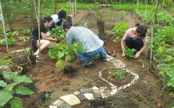 Đầu tư nông trại cho thuê giữa phố nhà giàu Sài Gòn