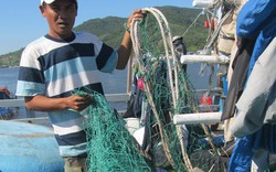 Ngư dân Đà Nẵng tố bị hàng trăm tàu cá TQ phá ngư cụ