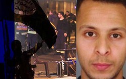 IS lùng giết kẻ tấn công Paris vì không hoàn thành nhiệm vụ