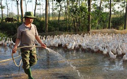 Cách làm nông thôn mới sáng tạo ở huyện Bình Xuyên