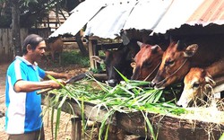 Giảm khoảng cách giàu nghèo,  tăng lòng tin của người dân