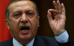Tướng Thổ Nhĩ Kỳ: Tổng thống nói thiếu suy xét vụ Su-24