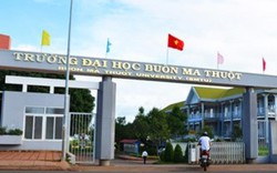 Báo động 'loạn' đào tạo Y dược