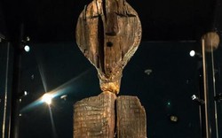 Bí ẩn tượng điêu khắc gỗ bị chôn vùi vạn năm không mục nát