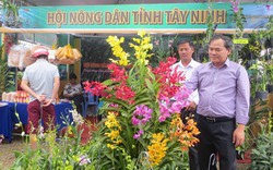 Nhịp cầu thông tin cho nông dân làm giàu