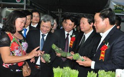 Hội chợ thương mại, nông nghiệp, làng nghề Bắc Ninh 2015 chính thức khai mạc