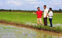 Bỏ việc nhẹ nhàng, y sĩ làm nông thu nhập trăm triệu mỗi năm