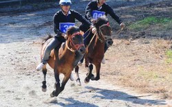 Hội đua ngựa Báo NTNN-Phú Sơn: Dấy lên tinh thần kỵ sĩ nông dân