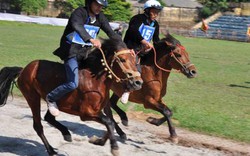 "Mong hội đua ngựa thành nét văn hóa Kinh Bắc"