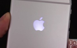 Logo "táo khuyết" phát sáng cho iPhone 6 và iPhone 6 Plus